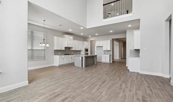 312 Santa Lucia, Anna, TX 75409