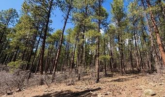 249 Timber Dr, Bayfield, CO 81122