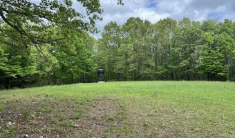 Co Rd 321 Route 5, Ava, MO 65608