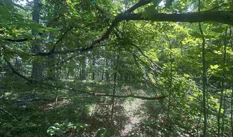 8688 Miller Rd, Alanson, MI 49706