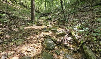 65 Acres Plainview Rd, Anderson, MO 64831