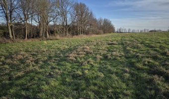 S Farm Road 11, Ash Grove, MO 65604