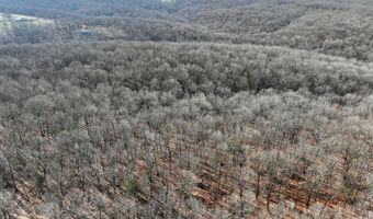 Farm Rd 1187 Lc, Ash Grove, MO 65604