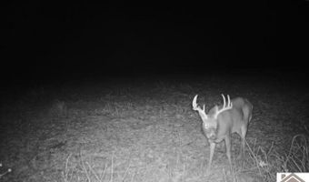 Sandy Branch Road, Bardwell, KY 42023