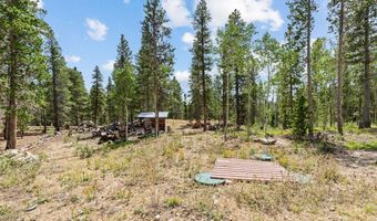 20 Paint Brush Dr, Black Hawk, CO 80422
