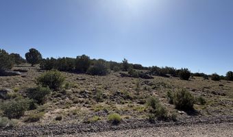 Lot 49 Windsor valley Ranch Drive, Concho, AZ 85924