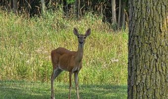 1113 Euclid Ave, Alma, MI 48801