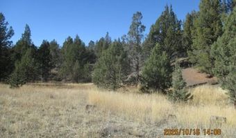 Couch Creek Road, Alturas, CA 96101