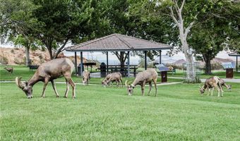 687 Marina Dr 39, Boulder City, NV 89005