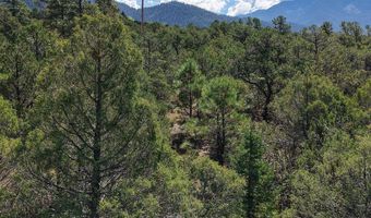 Robertos Lane, Arroyo Seco, NM 87514