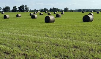 72 Nw Pl, Bell, FL 32619