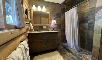 209 Deer Path Ln, Almont, CO 81230