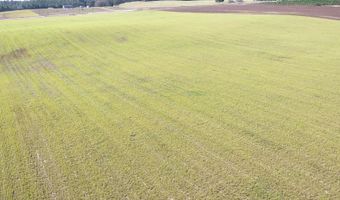 72 Nw Pl, Bell, FL 32619