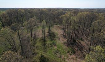 Tract 4 0000 Private Road 1184, Aurora, MO 65605