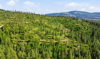 NNA Stone Rd Lot 2 20.0 Acres, Blanchard, ID 83804