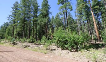 9 County Road 2073, Alpine, AZ 85920