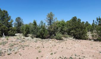 Ranch And Cattle lot 13, Ash Fork, AZ 86320