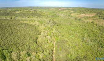 87 Acres Kay Hollis Rd, Beaverton, AL 35544