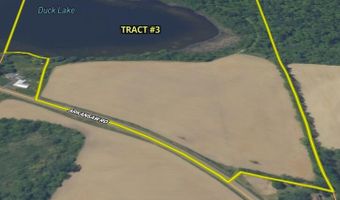 Arkansaw Tract 3, Allen, MI 49227
