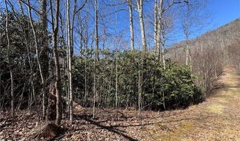 Lot # 70 Tall Tree Lane, Banner Elk, NC 28604