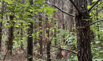 Geeville Road, Baldwyn, MS 38824