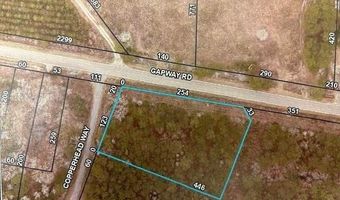 12155 Gapway Rd, Andrews, SC 29510
