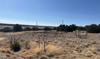 68 County Rd N8171, Concho, AZ 85924