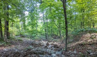 889 County Road 101, Alton, MO 65606