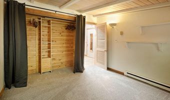 311 Midland Ave, Aspen, CO 81611