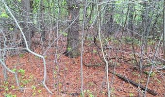 Parcel 2 Lakeshore, Applegate, MI 48401
