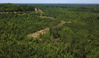 Tucker Road lot 13, Bath Springs, TN 38311