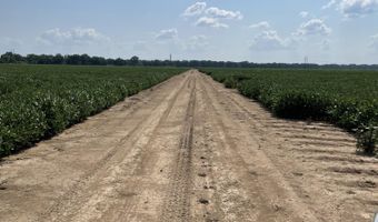 Straight Bayou Road, Anguilla, MS 38721