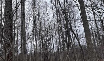 Fox Ridge 1-A Lane, Allenton, MI 48002