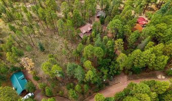 6 County Road 2070, Alpine, AZ 85920