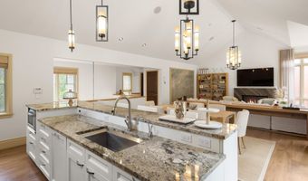 509 W Hopkins Ave, Aspen, CO 81611