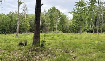 22 Monument Rd, Abbot, ME 04406