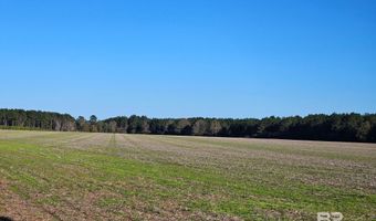 0 Three Mile Rd, Atmore, AL 36502