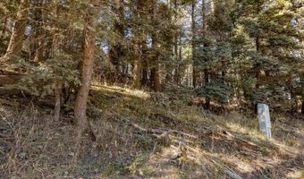 Back Basin Rd lot 145, Angel Fire, NM 87710