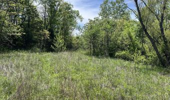 County Road P-309, Alton, MO 65606