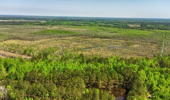 TBD Alligator Road, Bamberg, SC 29843