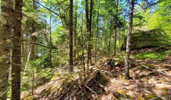 Spruce Mountain Lake, Beddington, ME 04622
