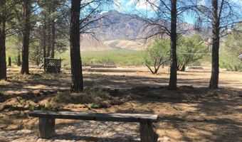 285 W Red Dog Rd, Portal, AZ 85632