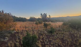 1 COUNTY ROAD N8155, Concho, AZ 85924