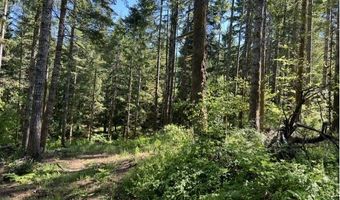 Tunnel Tract Parcel2, Banks, OR 97106