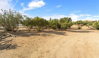 6535 Juniper Crest Rd, Agua Dulce, CA 91390