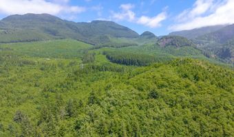 Shark Creek Ln, Arch Cape, OR 97102