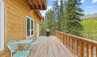 52 Coot Pl, Alma, CO 80420