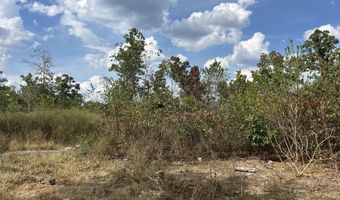 Hc 73 Box 4925 Track 20, Ava, MO 65608