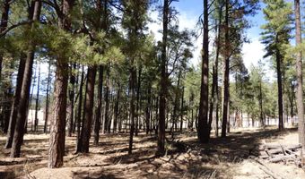 8 B County Road 2267 Escudilla Rd, Alpine, AZ 85920