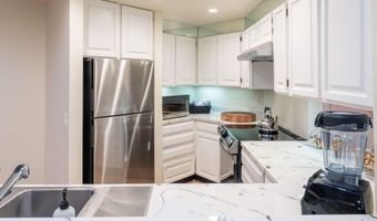 506 W Hallam St, Aspen, CO 81611